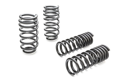 Eibach Pro-Kit Lowering Spring Kit 2006-2010 Charger R/T - Speedlogix