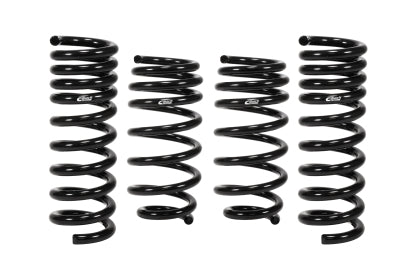Eibach Pro-Kit Lowering Spring Kit 2006-2010 Charger R/T - Speedlogix