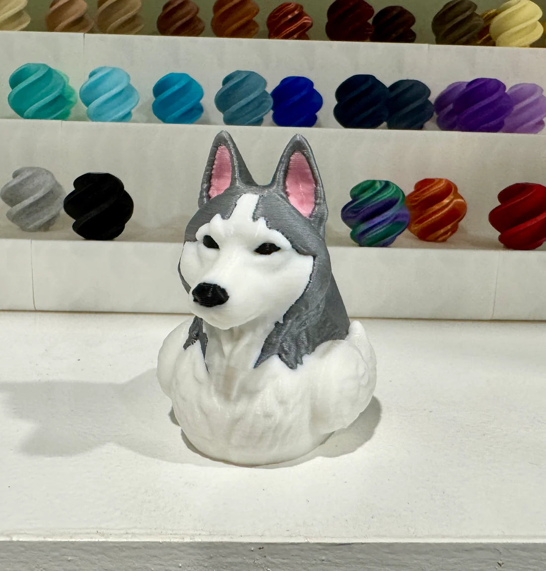 Husky Dog Duck