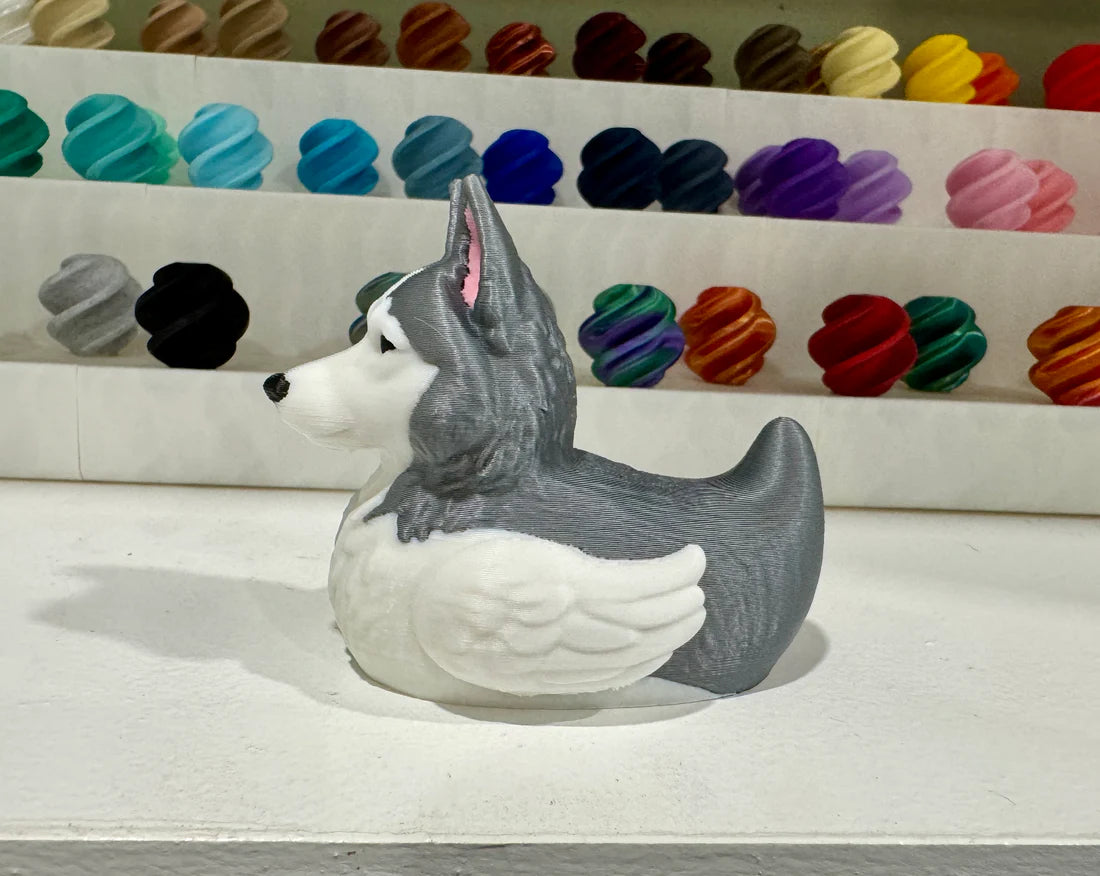 Husky Dog Duck