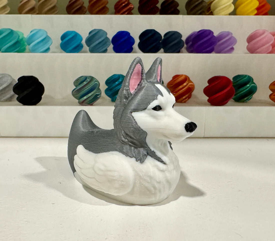 Husky Dog Duck