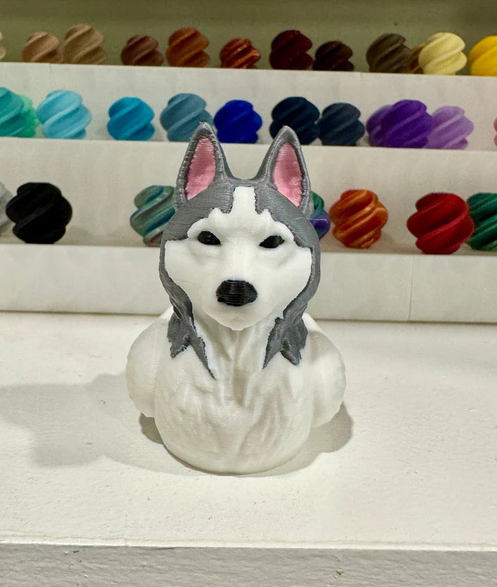 Husky Dog Duck