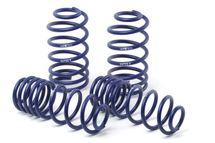 H&R Lowering Springs 2006-2010 Charger w/ Nivomat Shocks - Speedlogix