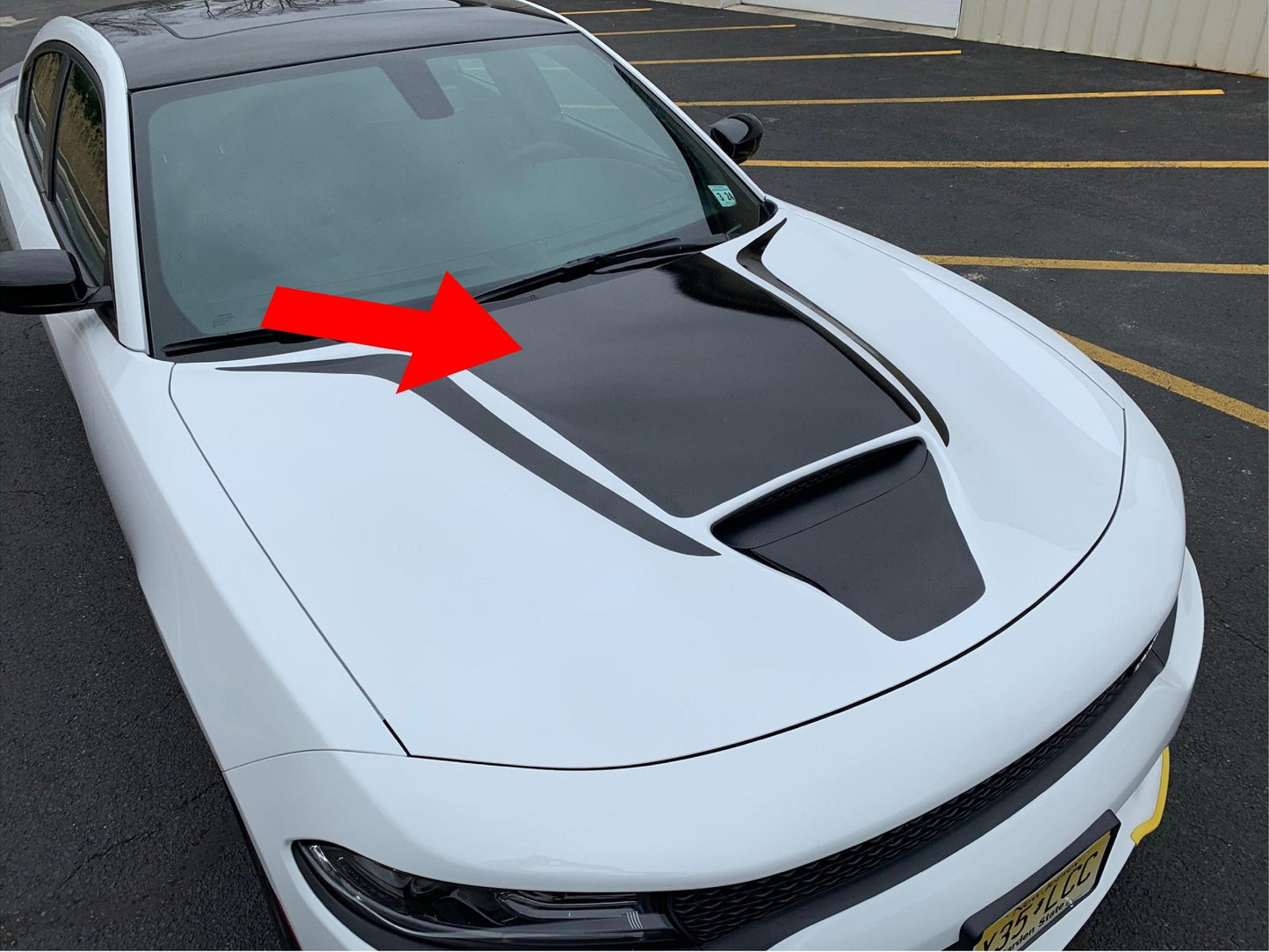 Hood Decal Cover for 2015 - 2021 Dodge Charger - Speedlogix