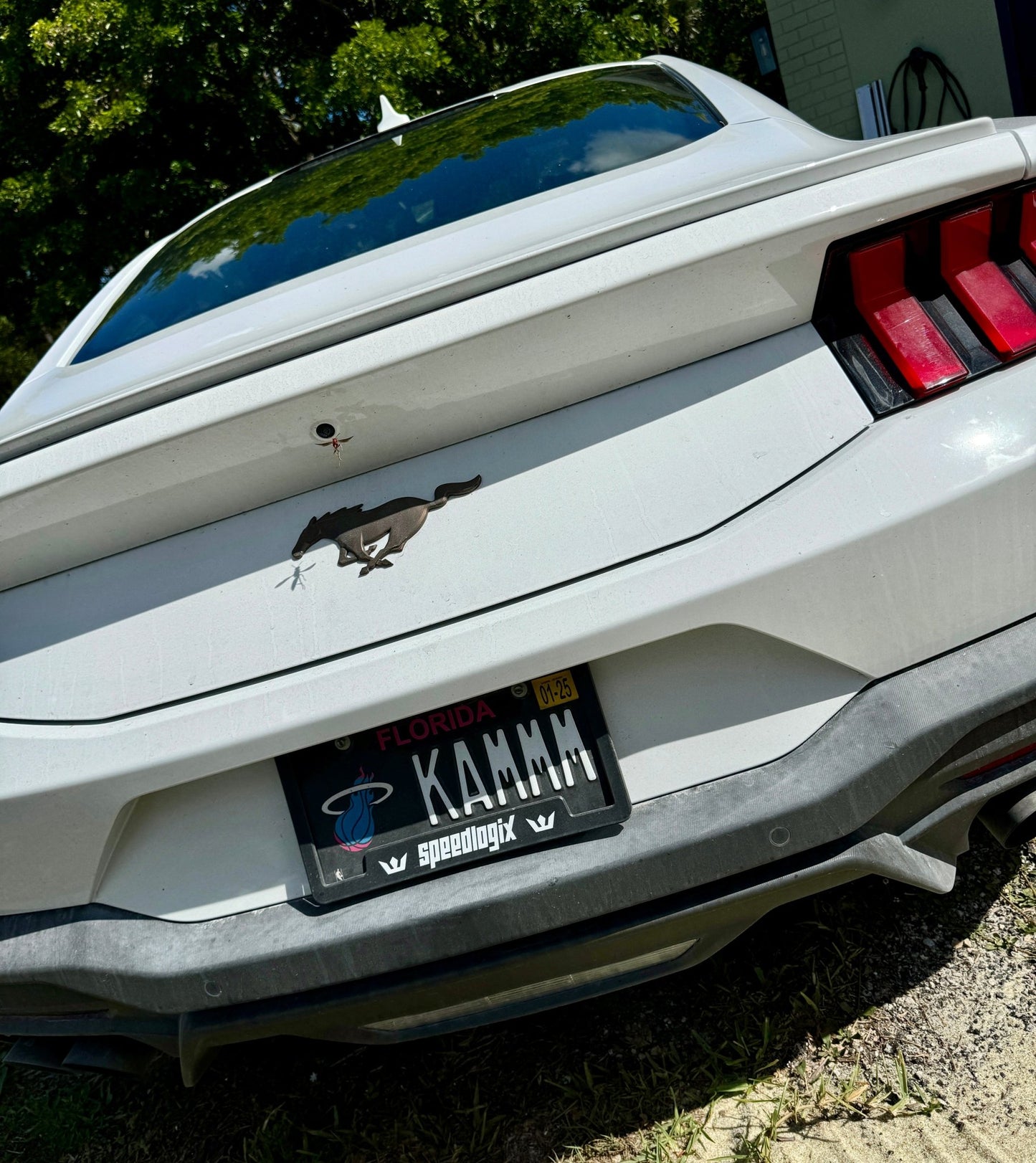 Speedlogix Black License Plate Frame - Speedlogix