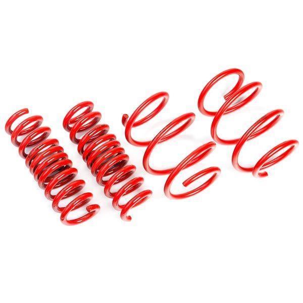 AST 40mm Lowering Springs Tesla Model 3 Long Range AWD