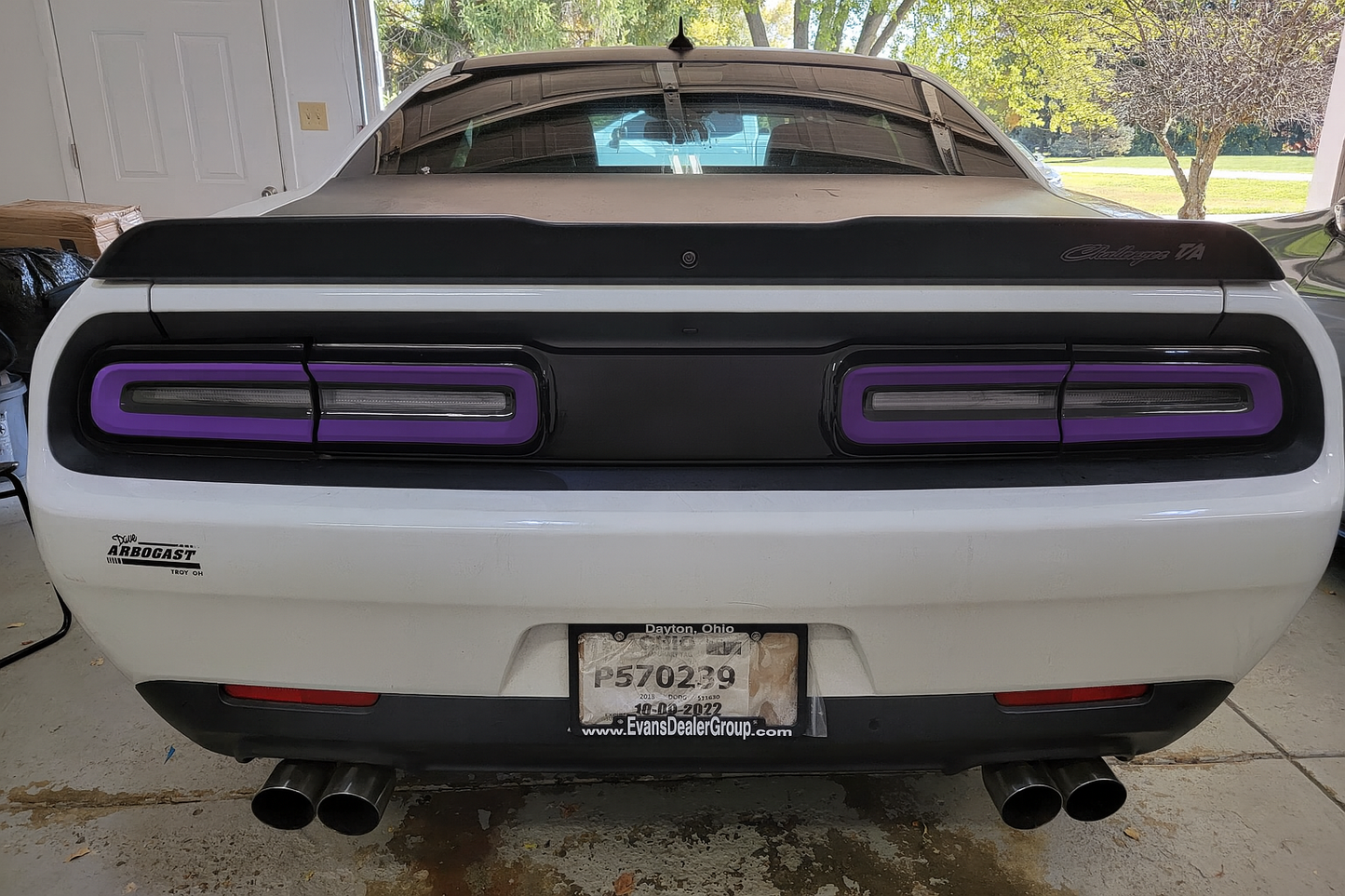 15-23 Dodge Challenger Colored Taillight Tint Decal