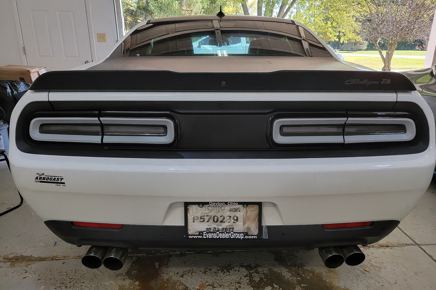 15-23 Dodge Challenger Colored Taillight Tint Decal