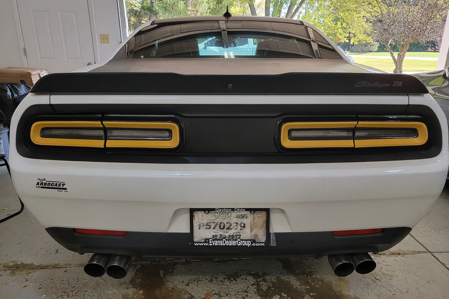 15-23 Dodge Challenger Colored Taillight Tint Decal