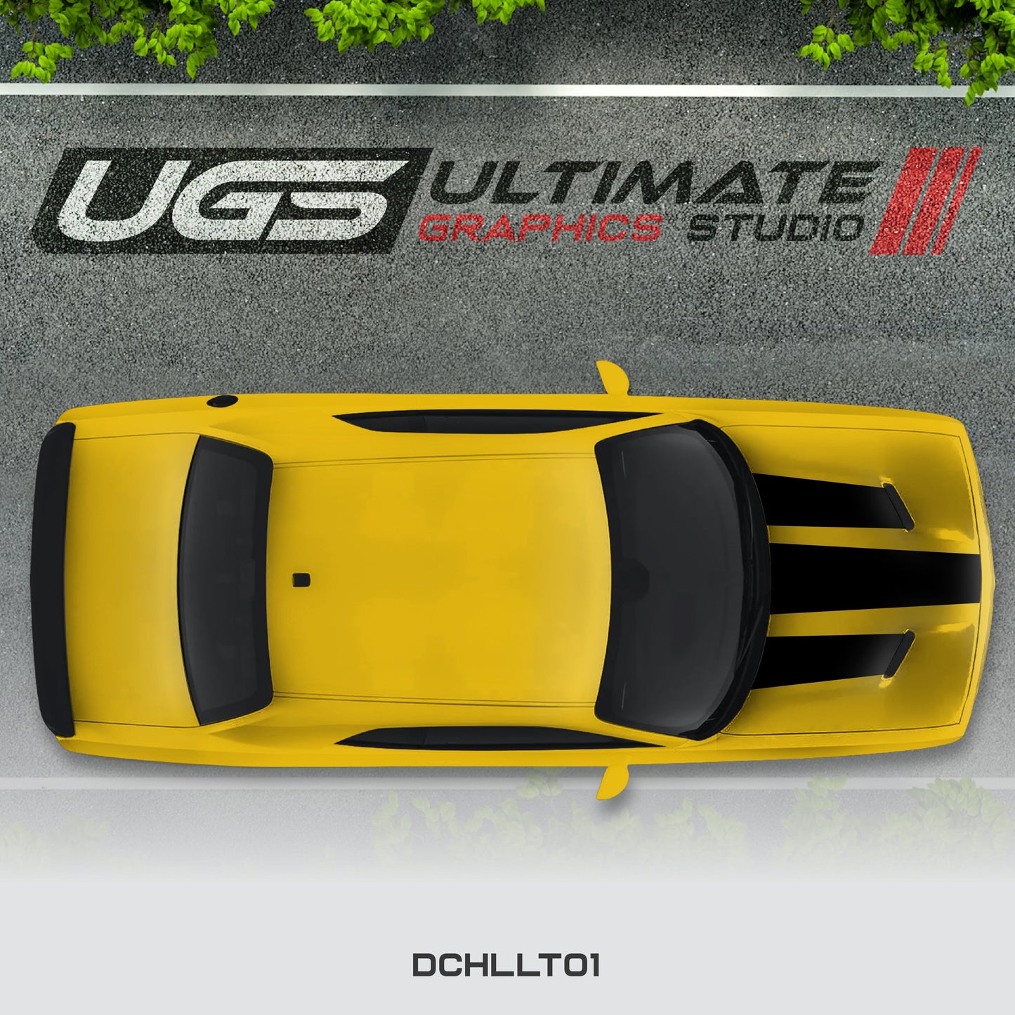 Dodge Challenger Top Graphics