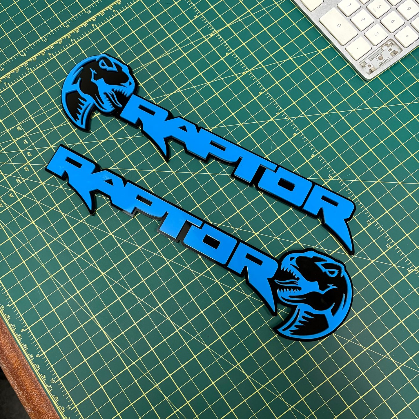Ford Raptor Door Emblems (F150, Ranger, Bronco) - sold as a pair