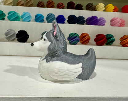Husky Dog Duck
