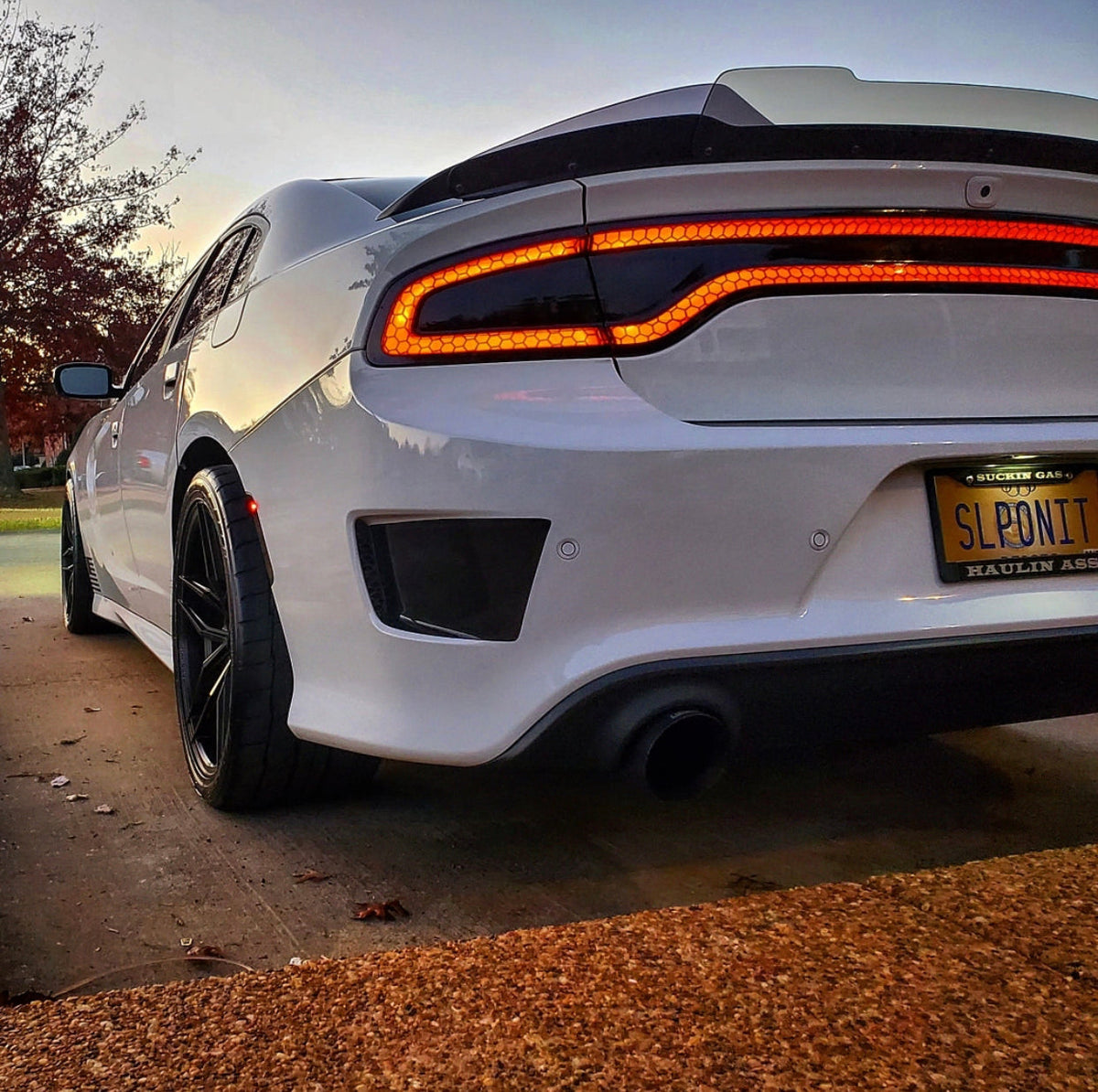 Charger 15-23 SRT Stealth Wicker Bill