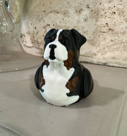 Bernese Mountain Dog Duck