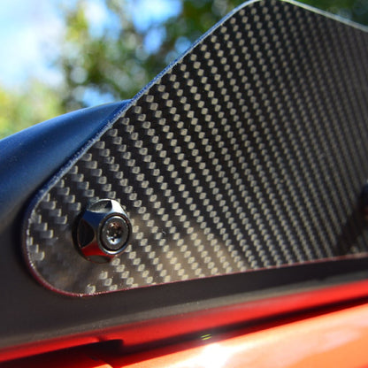 Challenger 09-23 Carbon Fiber Wicker Bill