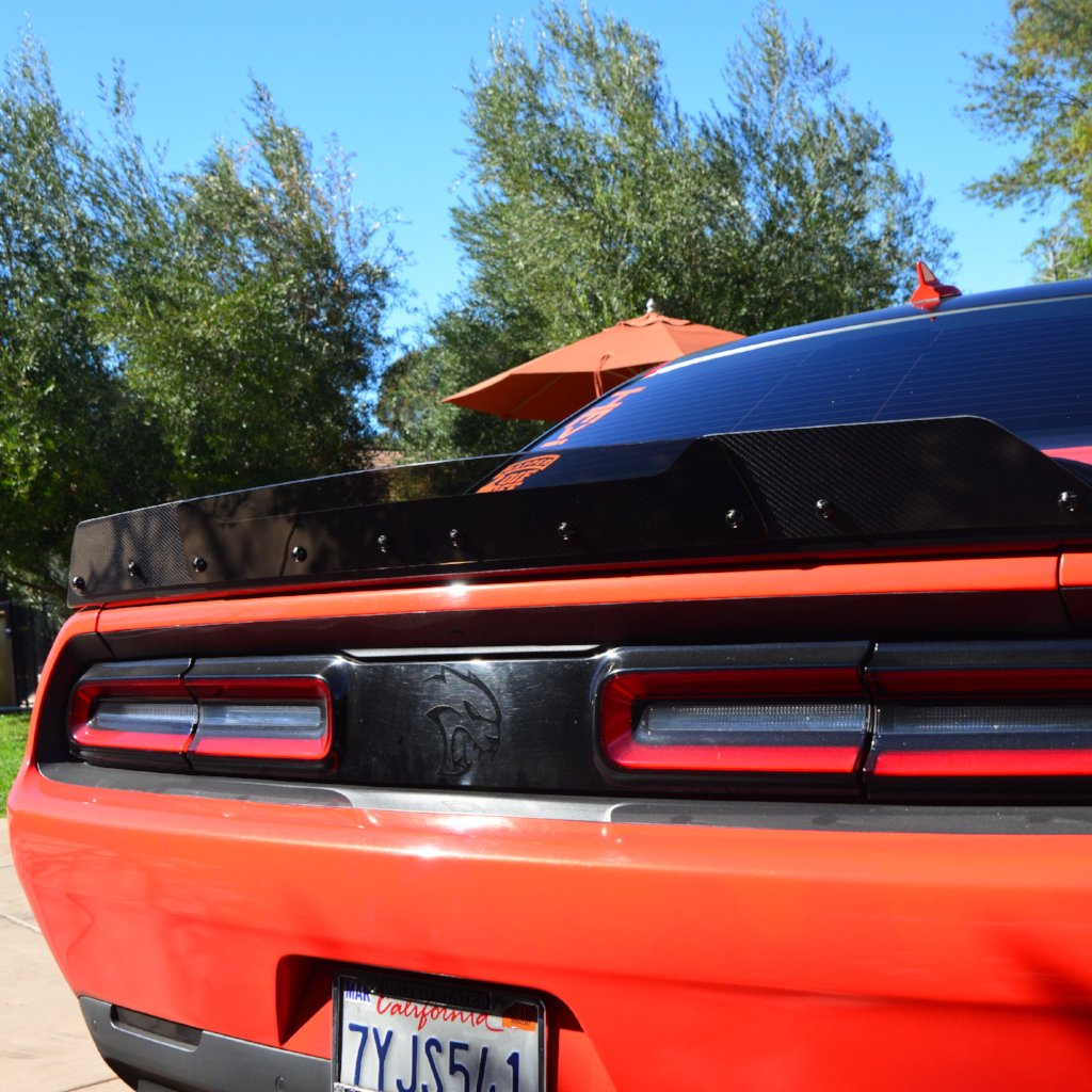 Challenger 09-23 Carbon Fiber Wicker Bill