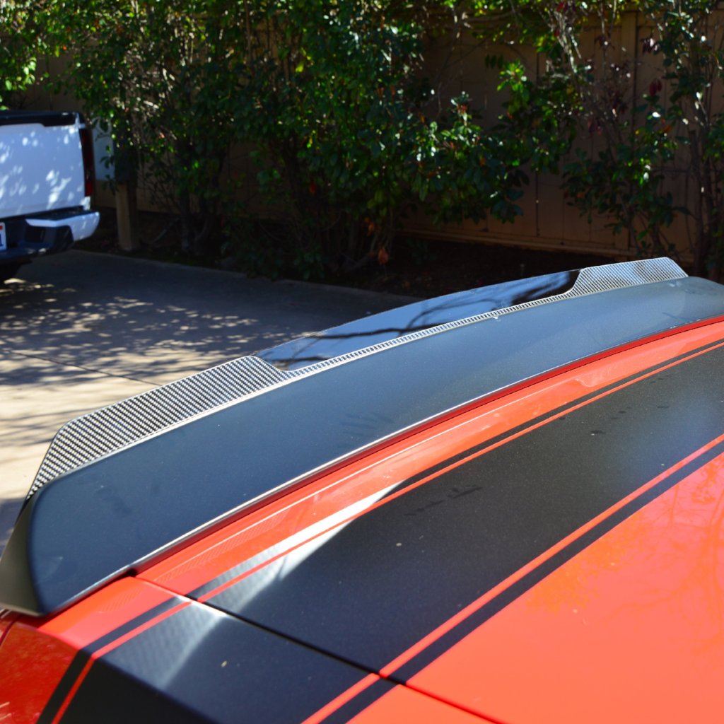 Challenger 09-23 Carbon Fiber Wicker Bill