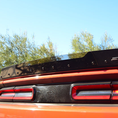 Challenger 09-23 Carbon Fiber Wicker Bill