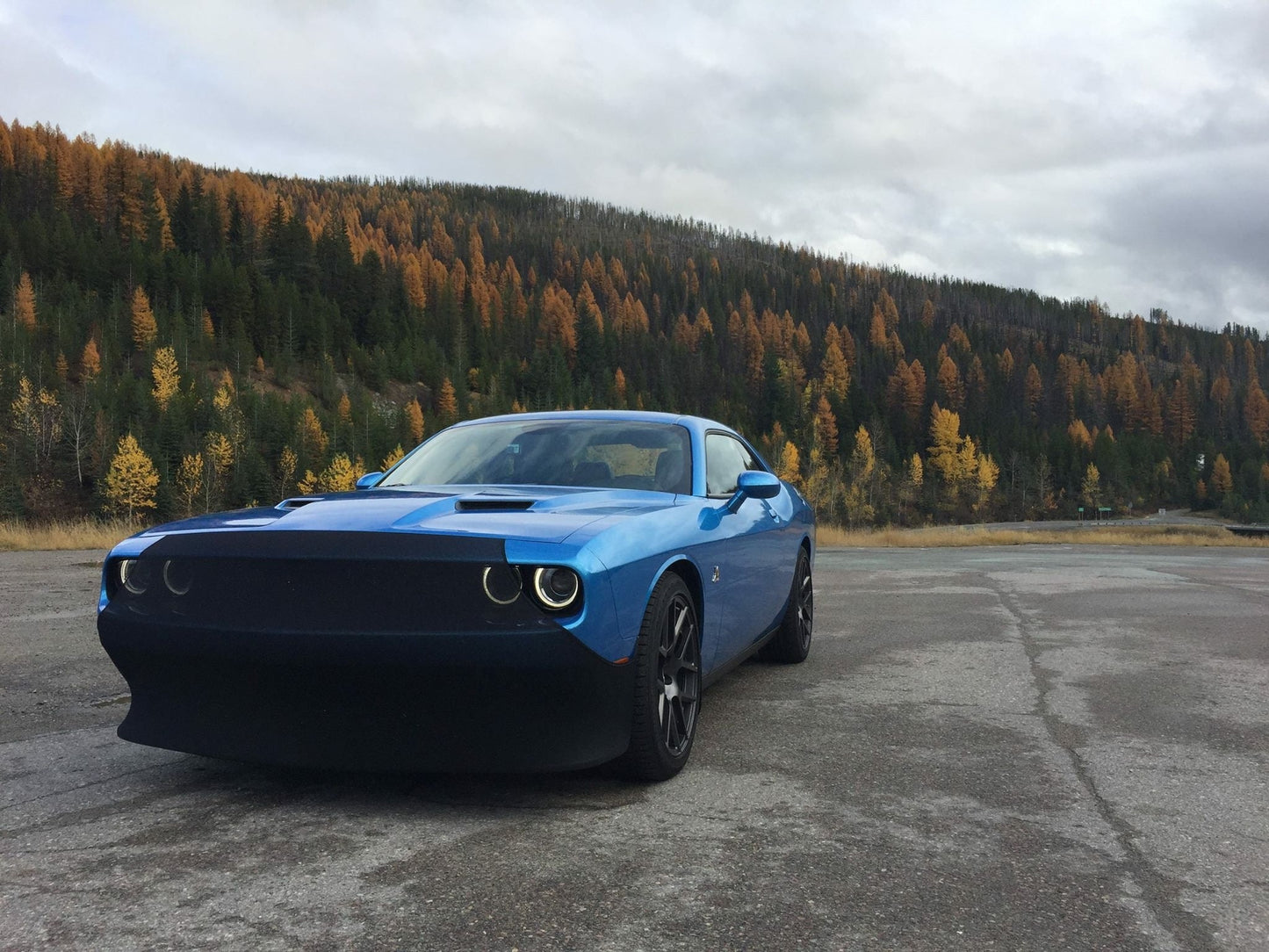 NoviStretch LX Platform Bra (Challenger, Charger, Magnum, Chrysler 300)