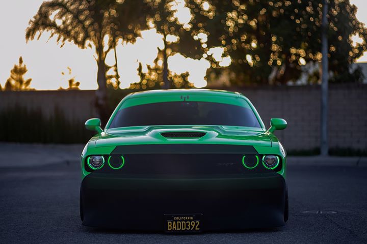 NoviStretch LX Platform Bra (Challenger, Charger, Magnum, Chrysler 300)