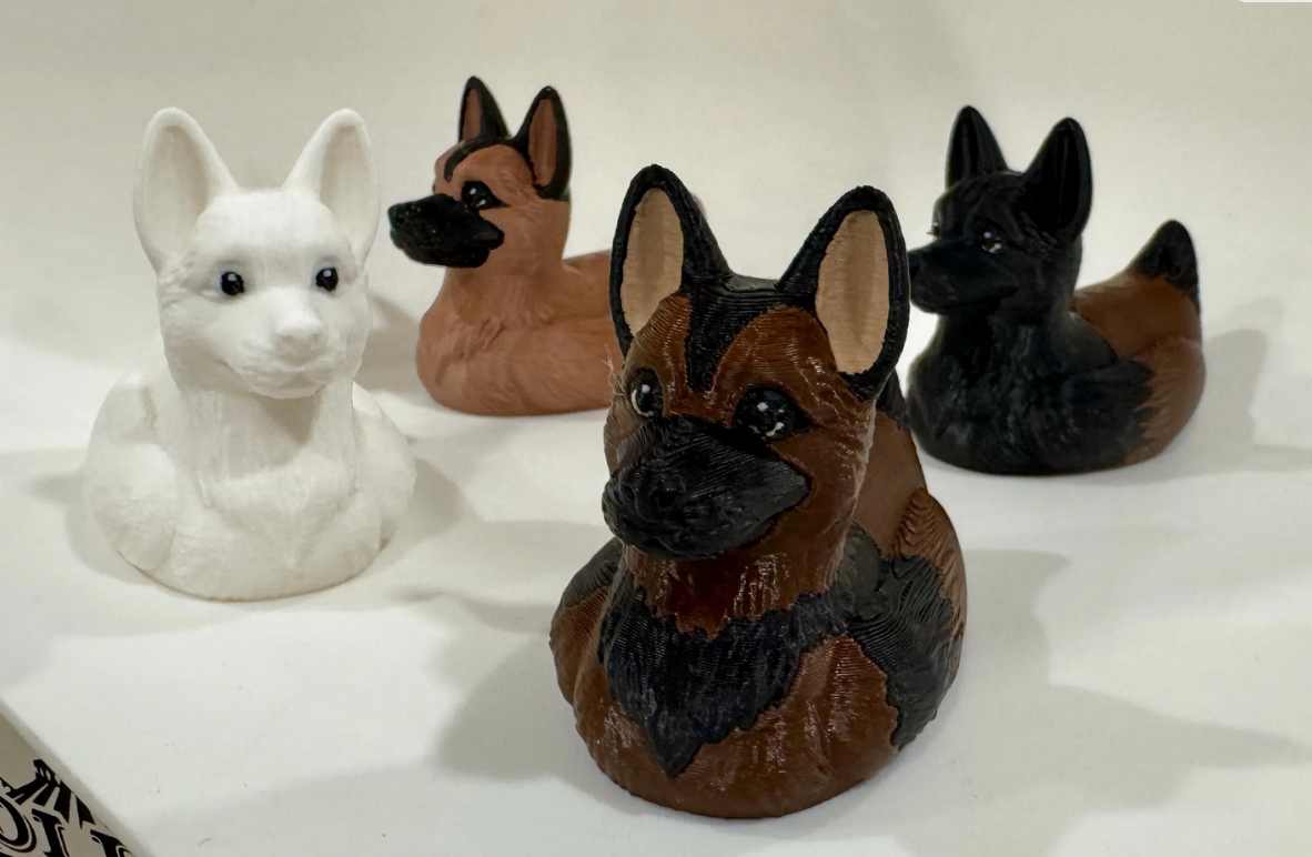 German Shepherd / Belgian Malinois Dog Duck