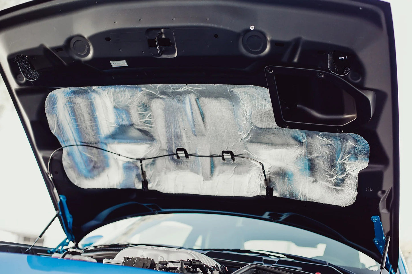 AC Carbon Fiber (Dry/Matte) Demon Hood 2008 - 2023 Challenger - Speedlogix