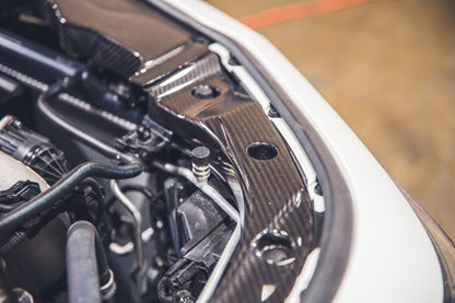 Acura Integra Type S And A Spec DE5 Carbon Fiber Radiator Cooling Plates 2023 - Current - Speedlogix