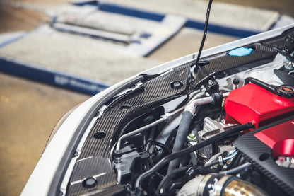 Acura Integra Type S And A Spec DE5 Carbon Fiber Radiator Cooling Plates 2023 - Current - Speedlogix