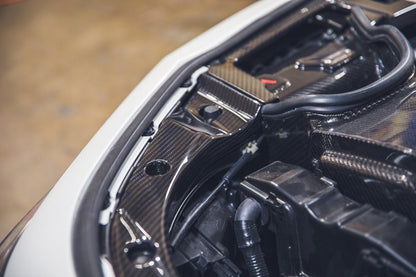 Acura Integra Type S And A Spec DE5 Carbon Fiber Radiator Cooling Plates 2023 - Current - Speedlogix