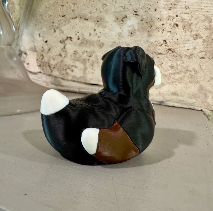 Bernese Mountain Dog Duck - Speedlogix