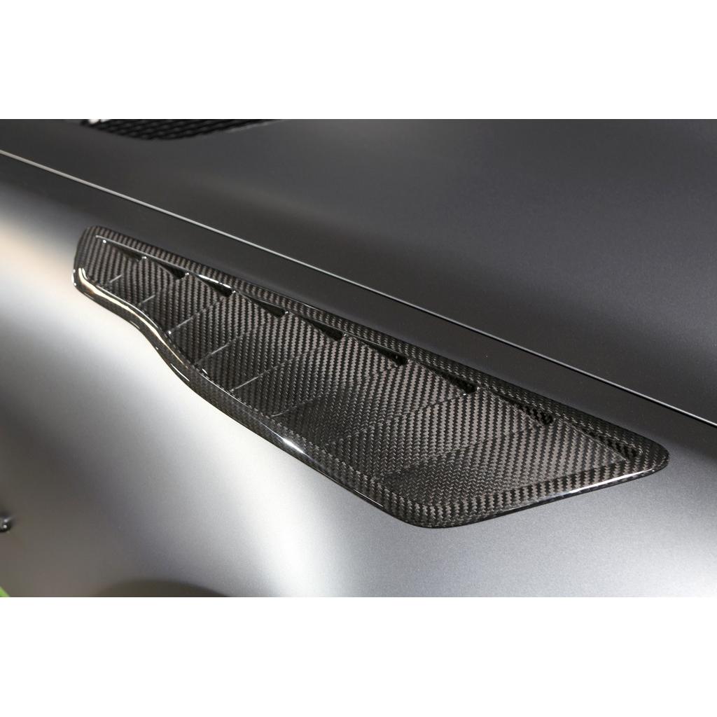 Carbon Fiber Mercedes Benz AMG GTR Pro Fender Vents 2020 - Speedlogix