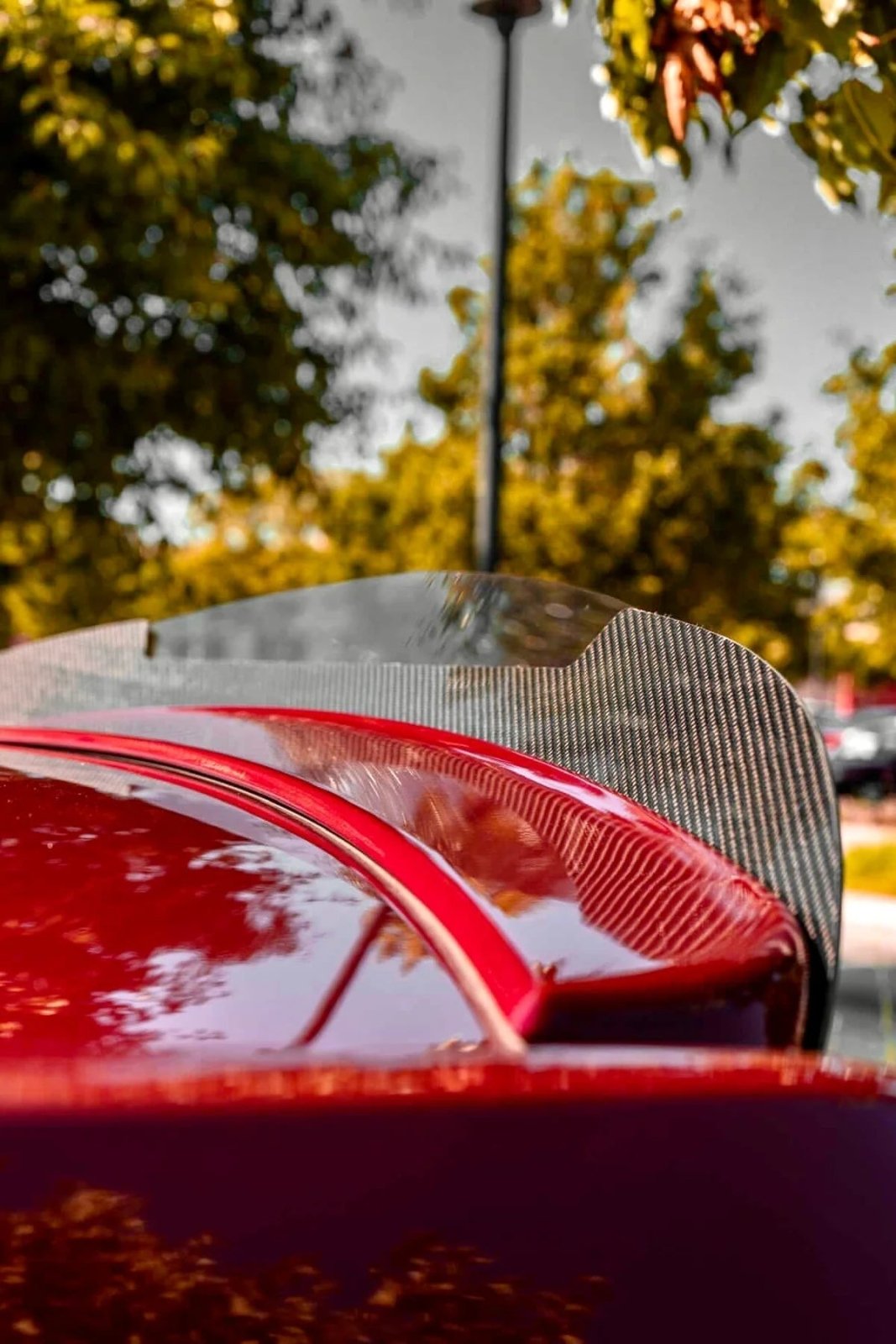 Chrysler 300 Sniper Wicker Bill (2015-2024)