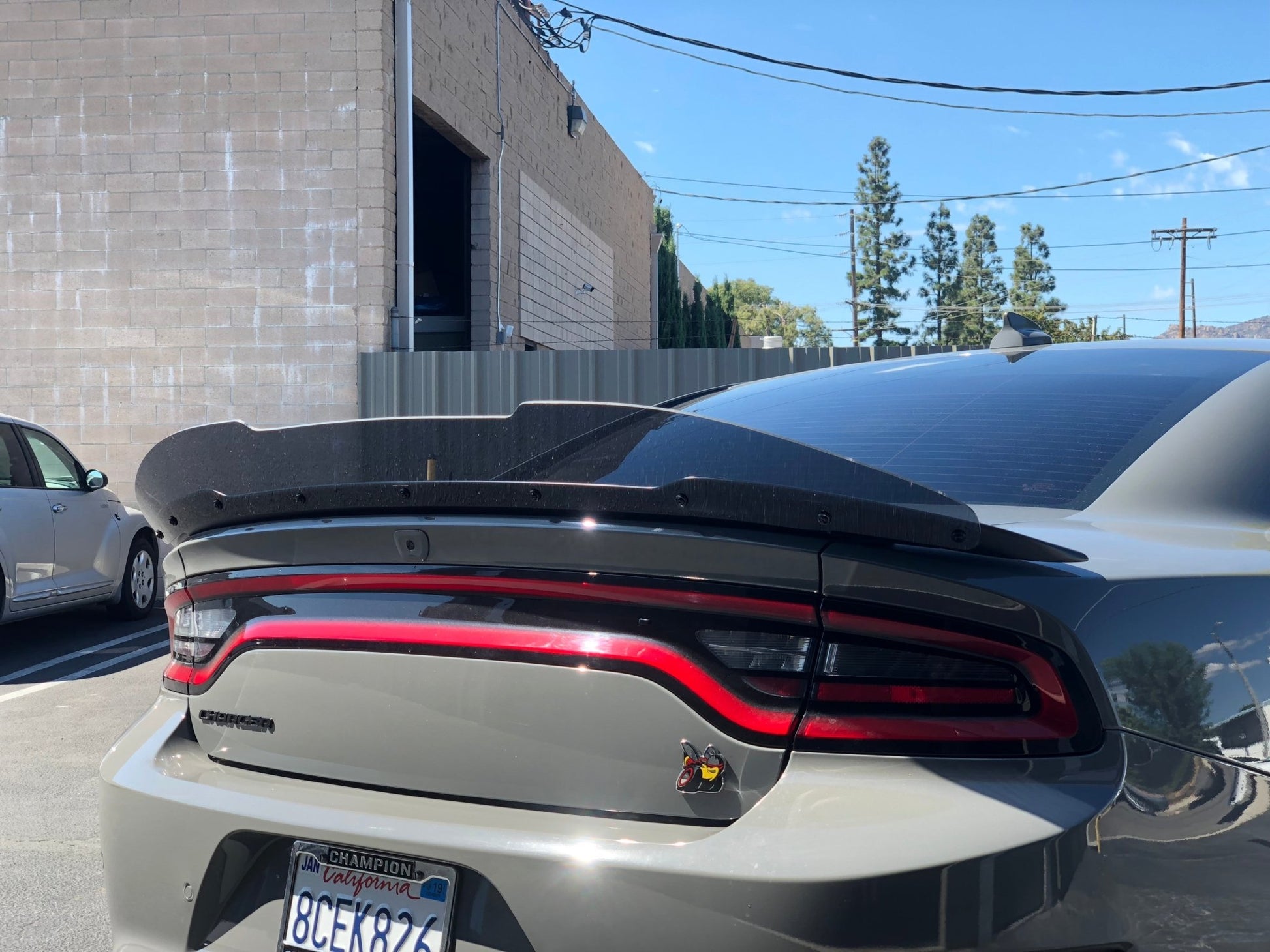 Dodge Charger Round Design Wickerbill - Speedlogix