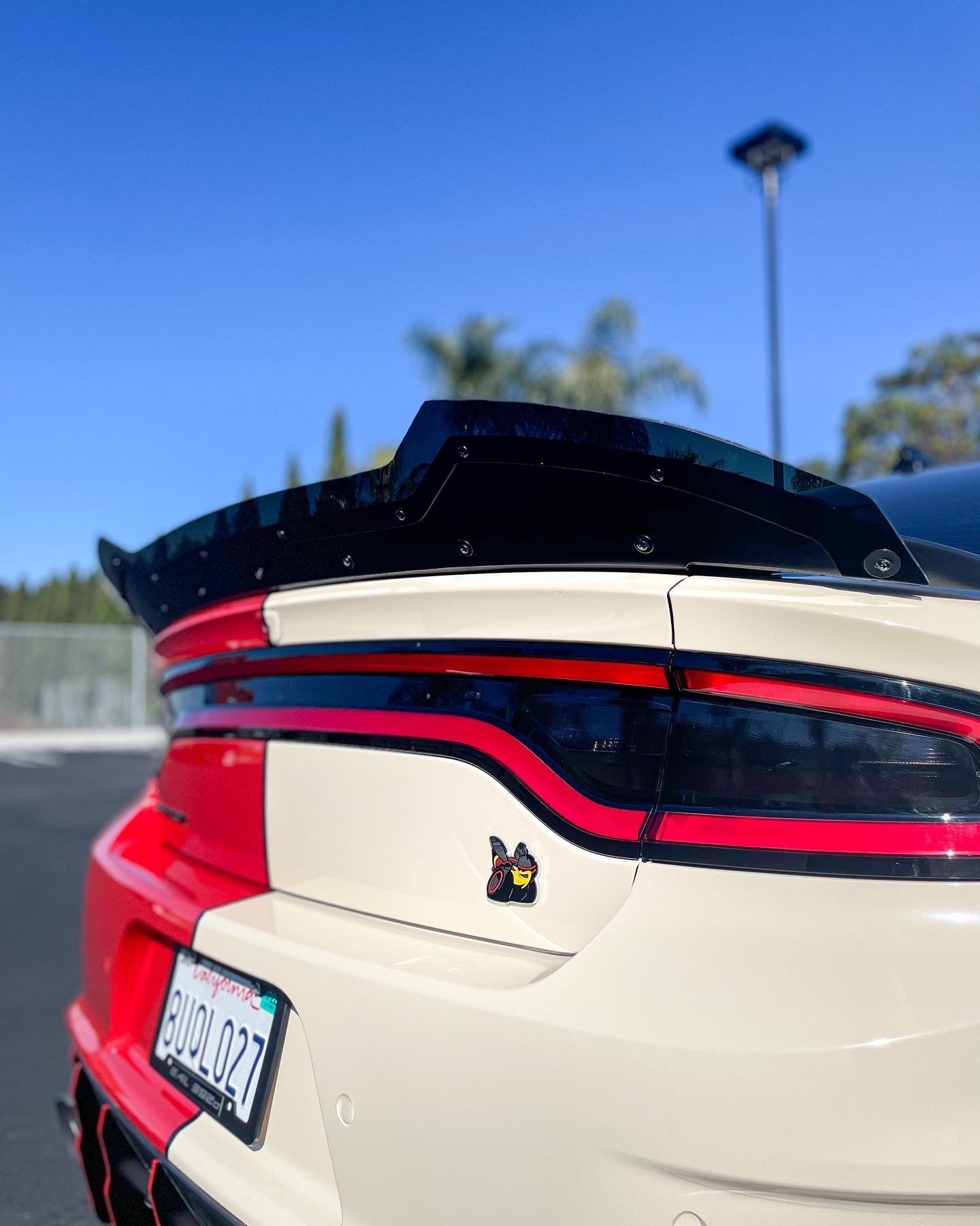 Dodge Charger X2 Design Wickerbill - Speedlogix