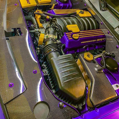 Dodge Chrysler 300 / Charger / Challenger (2015-2023) - Carbon Fiber / Forged Carbon Coolant Tank Cover