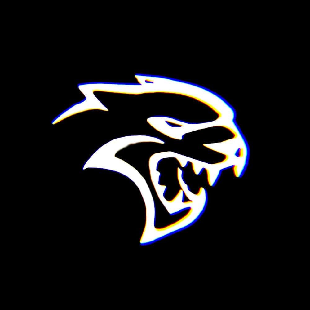 Dodge Charger 6th/7th/8th Gen Dynamic Dual Lens Premium Door Puddle Lights Multiple Designs 2006-2024