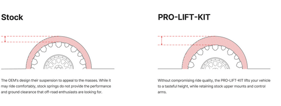 Eibach Rear Pro Lift Kit 2023 - 2025 Raptor R - Speedlogix