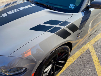 Fender Stripe Decals for 2011 - 2021 Dodge Charger (x2) - Speedlogix