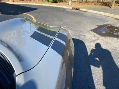 Fender Stripe Decals for 2011 - 2021 Dodge Charger (x2) - Speedlogix