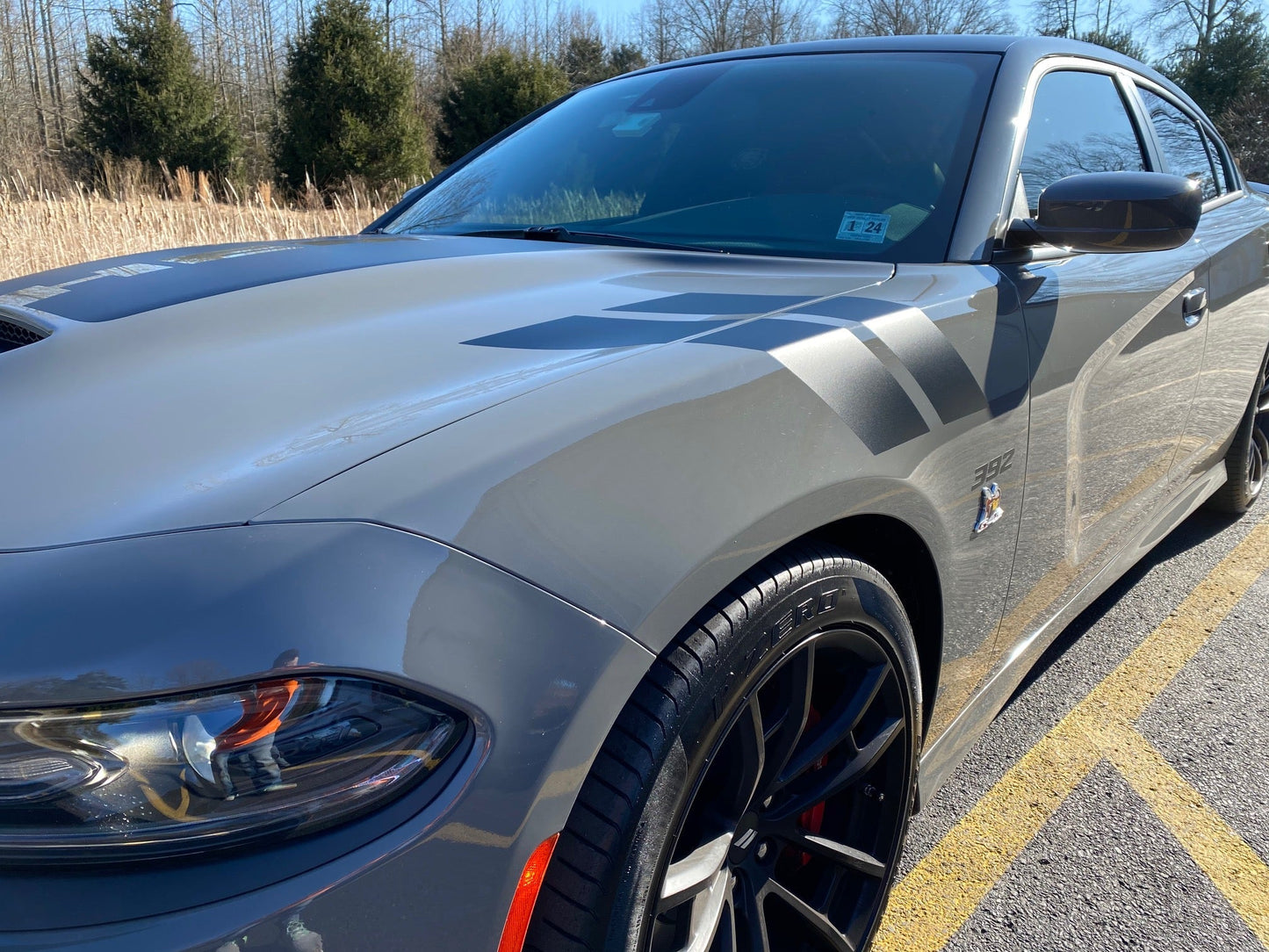 Fender Stripe Decals for 2011 - 2021 Dodge Charger (x2) - Speedlogix