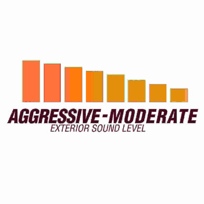 Flowmaster American Thunder Series Cat - Back Exhaust 2015 - 2023 Challenger 392/6.4L/6.2L - Speedlogix