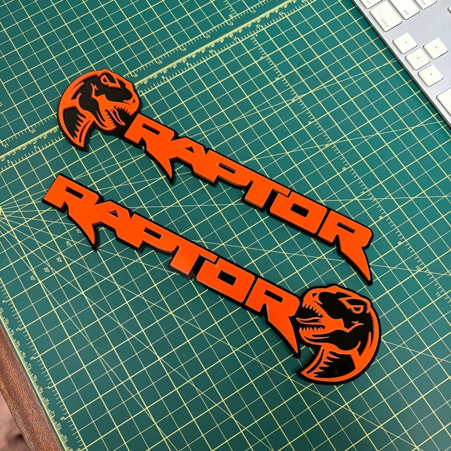 Ford Raptor Door Emblems (F150, Ranger, Bronco) - sold as a pair