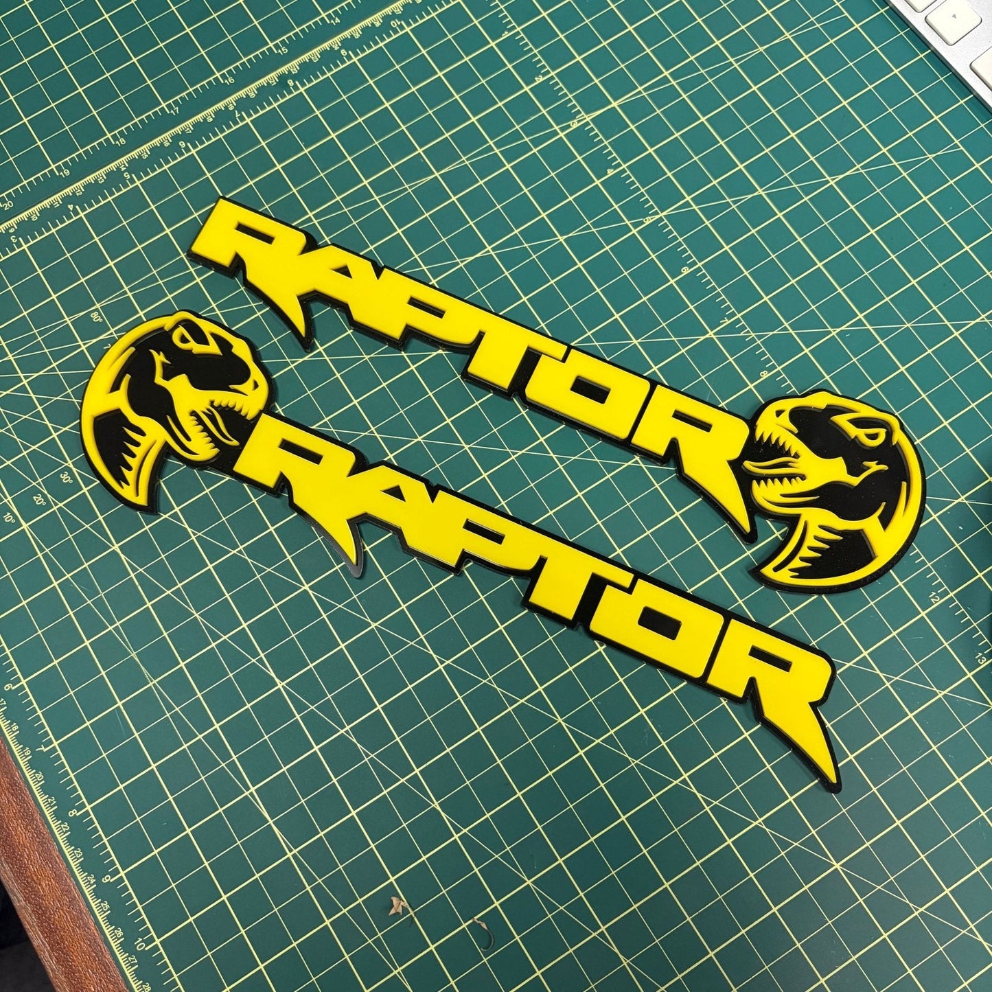 Ford Raptor Door Emblems (F150, Ranger, Bronco) - sold as a pair