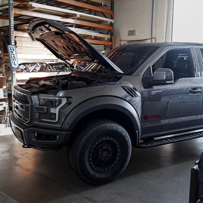 Ford Raptor Door Emblems (F150, Ranger, Bronco) - sold as a pair