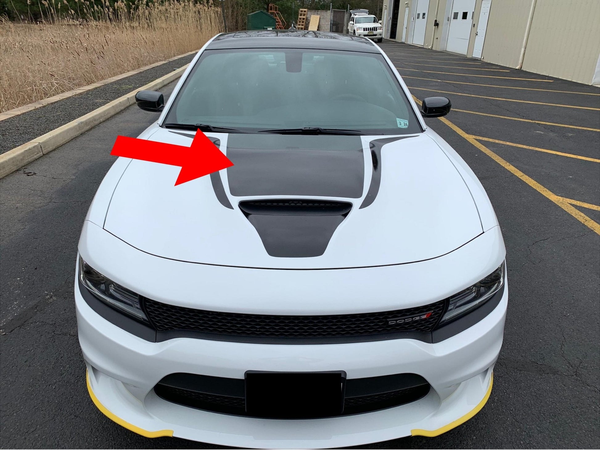 Hood Decal Cover for 2015 - 2021 Dodge Charger - Speedlogix