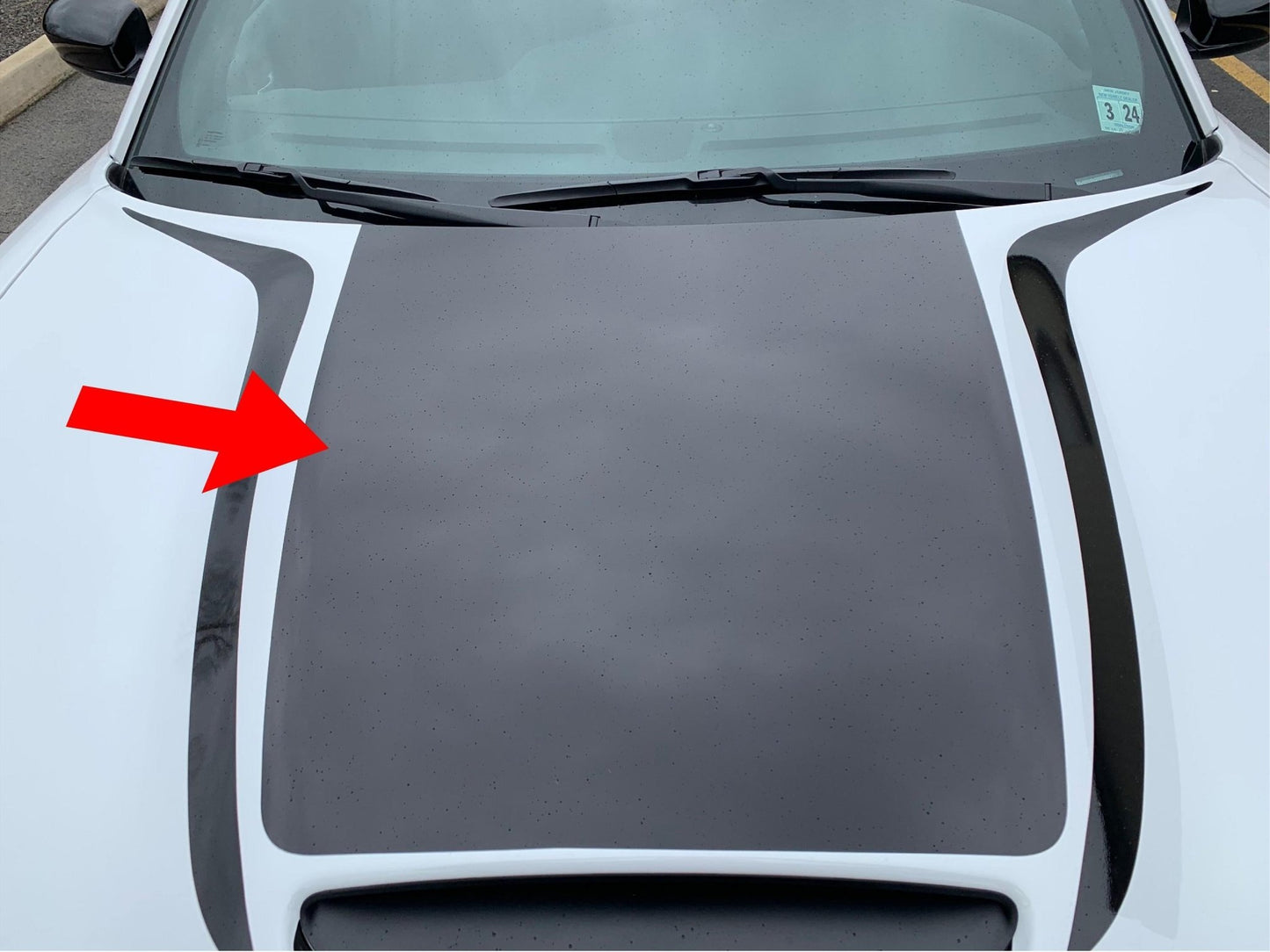Hood Decal Cover for 2015 - 2021 Dodge Charger - Speedlogix