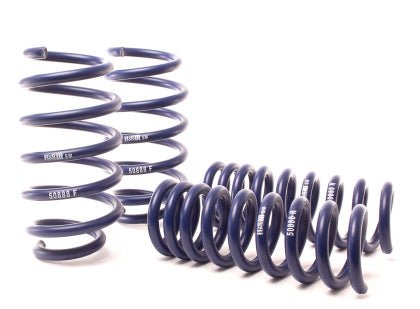 H&R Lowering Springs 2009 - 2023 Challenger/Charger - Speedlogix