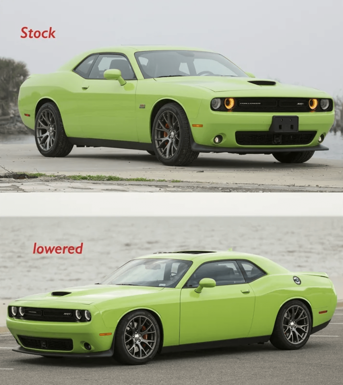 KW Height Adjustable Spring Kit 2012 - 2023 Challenger w/ Adaptive - Speedlogix