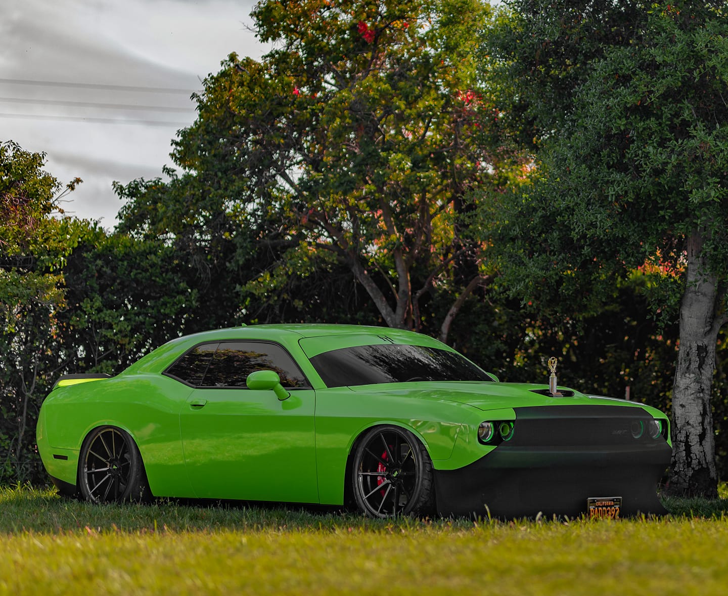 NoviStretch LX Platform Bra (Challenger, Charger, Magnum, Chrysler 300) - Speedlogix