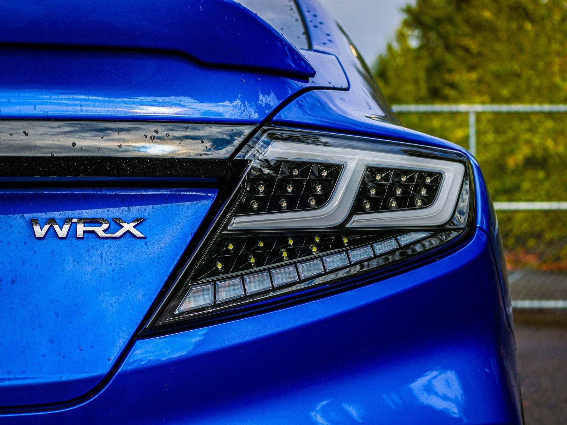 OLM Spec - AR LED Taillights (Clear Lens/Black Base/White Bar) - 2022+ WRX - Speedlogix